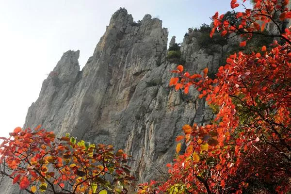 巫山紅葉最佳觀(guān)賞地點(diǎn)及路線(xiàn)推薦