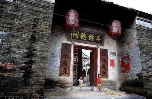 拒食貓狗 探訪(fǎng)狗肉節(jié)之外的真實(shí)玉林